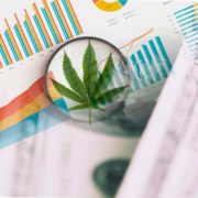 3 Marijuana Stocks To Watch To Kick Off Your Trading Week