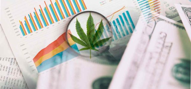 3 Marijuana Stocks To Watch To Kick Off Your Trading Week