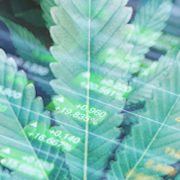 3 Top Marijuana Stocks To Watch In April 2022