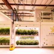 Agrify and Greenlight Cannabis Announce Partnership To Accelerate Vertical Farming Unit Adoption