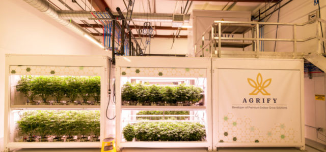 Agrify and Greenlight Cannabis Announce Partnership To Accelerate Vertical Farming Unit Adoption