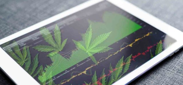 Are Top Canadian Pot Stocks A Buy Right Now? How Active Traders Are Day Trading The Volatility