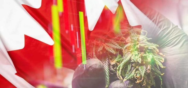 Best Canadian Marijuana Stocks To Buy In April? 3 Top Pot Stocks For Active Traders On The Nasdaq