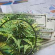 Best Marijuana Penny Stocks To Buy Now? 3 For Your Watchlist In April