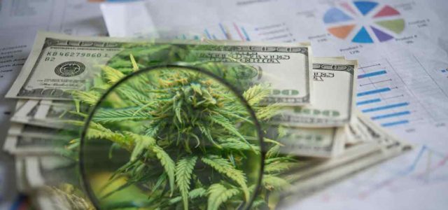Best Marijuana Penny Stocks To Buy Now? 3 For Your Watchlist In April