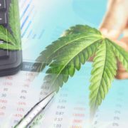 Best Marijuana Penny Stocks To Buy Today? 3 To Add To Your List Right Now