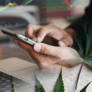 Best Marijuana Stock To Buy Long Term? 3 Cannabis REITs For Your List Right Now