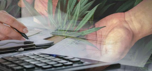 Best Penny Stocks To Buy Right Now? 3 Top Cannabis Stocks To Watch In April