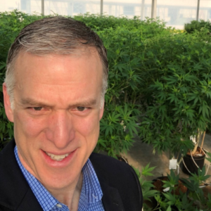 Botani Managing Director Alex Boone Oversees the Cannabis Subsidiary of a 400-Year-Old Paper Company