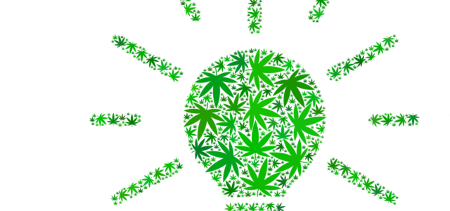 Cannabis Patents Q&A