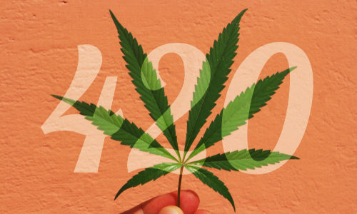 Looking back at the absolutely unexpected and totally wild origin of 420