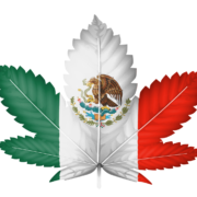 Mexico Cannabis FAQ: Part 2