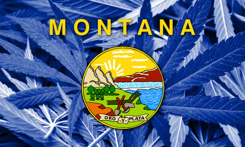 Montana Marijuana Sales Total $73M So Far This Year