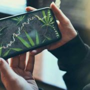 Top US Marijuana Penny Stocks For May 2022