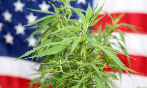 Weed is likely to remain federally illegal, but ‘cannabis banking’ could pass this year