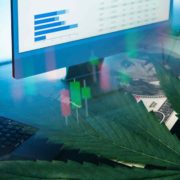 Will Marijuana Stocks See Better Trading As NYC and New Jersey Soon Begin To Sell Legal Cannabis?