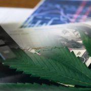 Will These Marijuana Stocks See A Recovery Before Next Month?