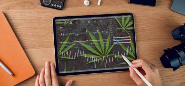 2 Marijuana Stocks That Could Soon Recover This Month