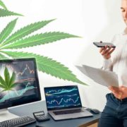 2 Marijuana Stocks To Buy In May? Could These Be Companies You Need