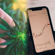 3 Marijuana Stock To Watch Heading Into Next Month