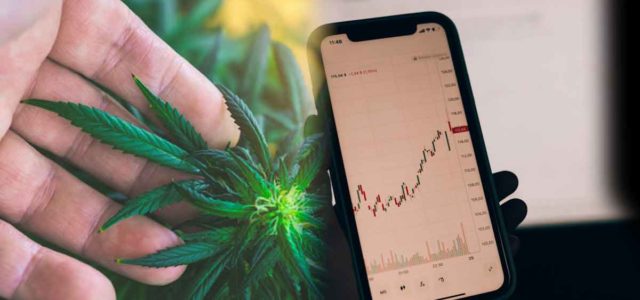 3 Marijuana Stock To Watch Heading Into Next Month