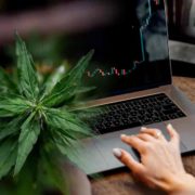 3 Top Ancillary Marijuana Stocks For 2022