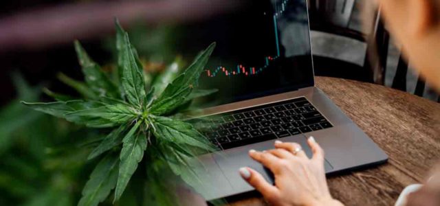 3 Top Ancillary Marijuana Stocks For 2022
