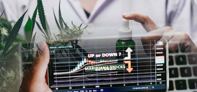 Ancillary Marijuana Stocks To Buy Now? 3 To Watch Before June