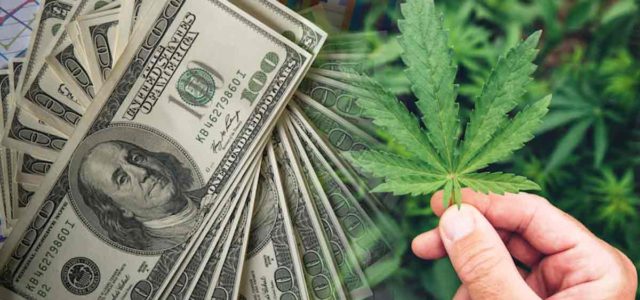 Are Canadian Marijuana Stocks A Buy Right Now? 3 For Your List In May