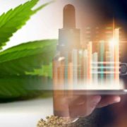 Are These The Best US Marijuana Stocks To Buy Right Now? 3 To Watch Next Week