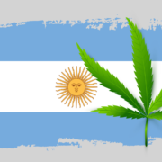 Argentina’s New Hemp and Medical Cannabis Regulator