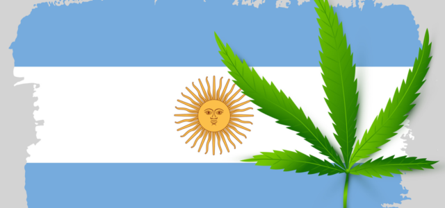 Argentina’s New Hemp and Medical Cannabis Regulator