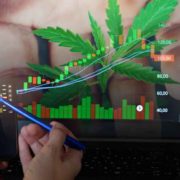 Best Cannabis Penny Stocks To Buy In June? 4 To Watch This Week