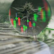 Best Cannabis Stocks To Invest In Right Now? 3 US Pot Stocks On Watch
