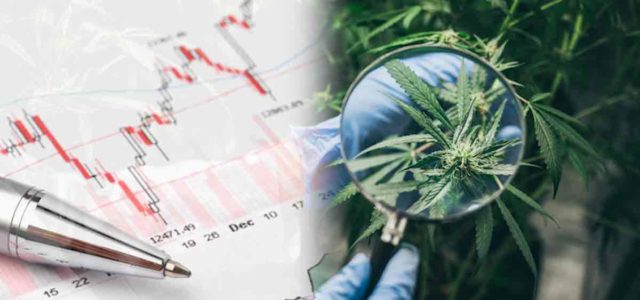 Best Marijuana Penny Stocks For 2022? 3 For Reddit Investors Right Now