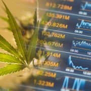 Best Marijuana Penny Stocks To Buy Now? 3 For Your List This Week