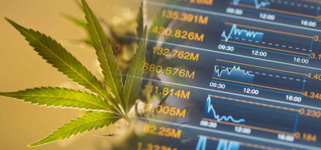 Best Marijuana Penny Stocks To Buy Now? 3 For Your List This Week
