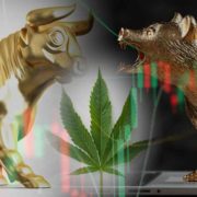 Best Marijuana Stocks To Buy In May 2022? 5 Top US MSOs For Your List Now