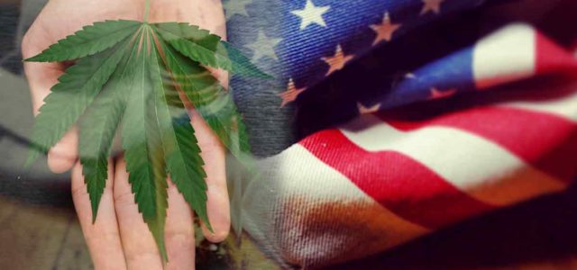 Best US Marijuana Stocks To Add To Your List For May 2022