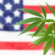 Half of Americans have tried marijuana and most say their experiences were positive
