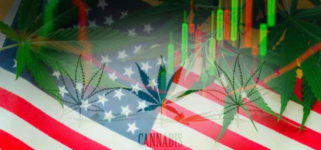 Marijuana Penny Stocks For Your List While The Market Is Down In May