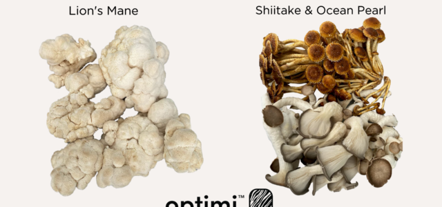 Optimi Health Acquires Extensive Catalog of Psychedelic and Functional Mushroom Genetics