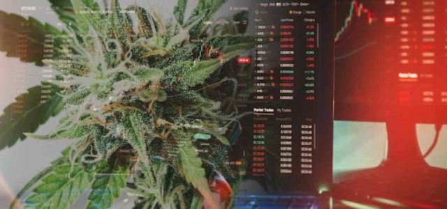 The Best Marijuana Stocks In 2022 And The Different Cannabis Sectors To Watch Right Now