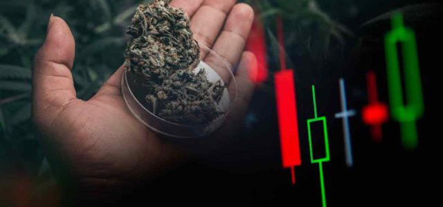 Top Ancillary Marijuana Stocks To Watch This May