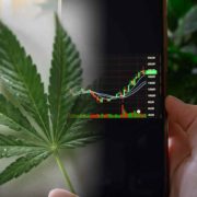 Top Penny Stocks To Buy Right Now? 3 Cannabis Stocks For Your Watchlist