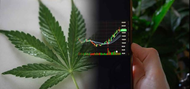 Top Penny Stocks To Buy Right Now? 3 Cannabis Stocks For Your Watchlist