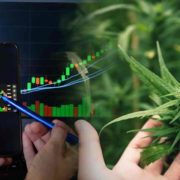 Top US Marijuana Stocks To Buy Now? 3 Florida Cannabis Companies To Watch