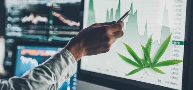 Will These Marijuana Stocks Continue To Recover This Month