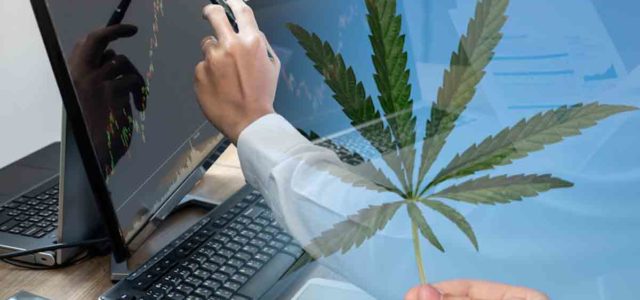 3 Marijuana Stocks That May See A Turnaround In Trading This Month