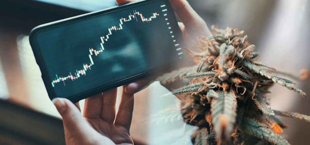 3 Marijuana Stocks To Buy In July?